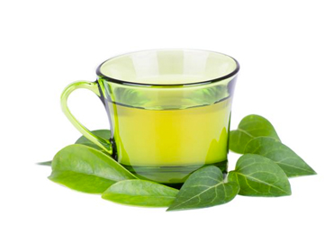 ¿Por qué incluir Té verde en la dieta?